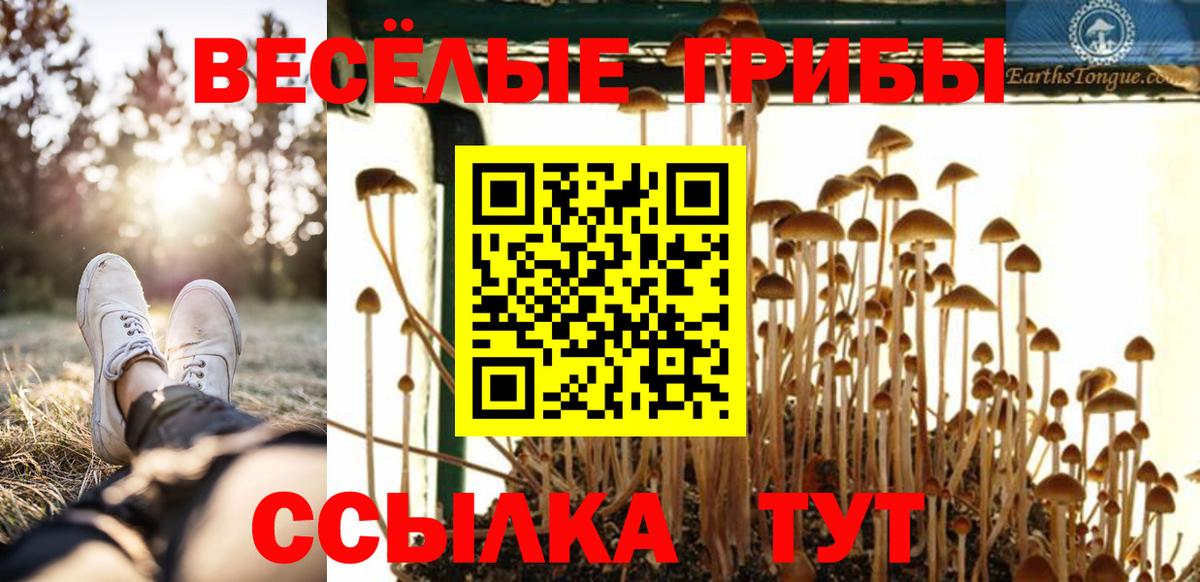 Бошки Шишки  Экстази  ГАШИШ  Alpha PVP СОЛЬ кристаллы  Мефедрон  Мелеуз  LSD-25  COCAIN  Вход с VPN  МАРИХУАНА  Меф МЯУ МЯУ   ТГК 